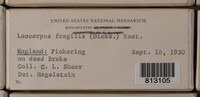 Image Associated With the Occurrence